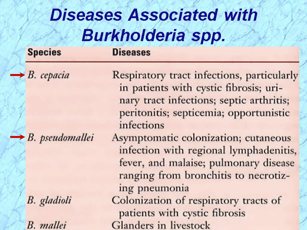 Diseases Associated with Burkholderia spp.